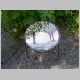 round table  green trees_800x600.jpg
